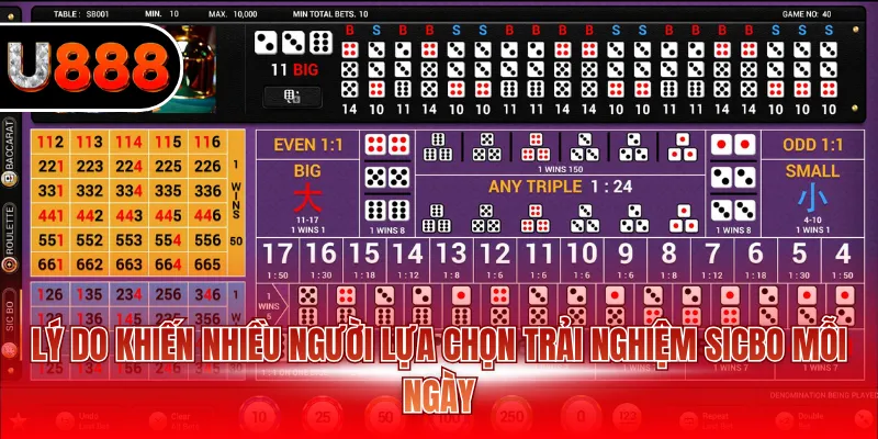 Lý do khiến nhiều người lựa chọn trải nghiệm Sicbo mỗi ngày